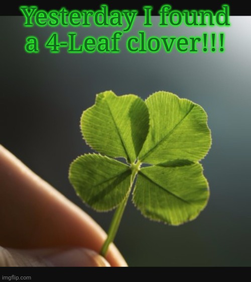 4 leaf clover hand | Yesterday I found a 4-Leaf clover!!! | image tagged in 4 leaf clover hand | made w/ Imgflip meme maker