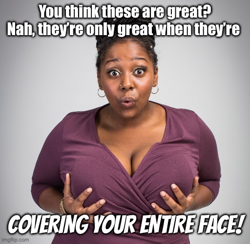 That’s right | You think these are great? Nah, they’re only great when they’re; COVERING YOUR ENTIRE FACE! | image tagged in bbw,big boobs | made w/ Imgflip meme maker