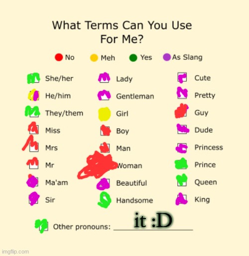 :> | it :D | image tagged in pronouns sheet | made w/ Imgflip meme maker