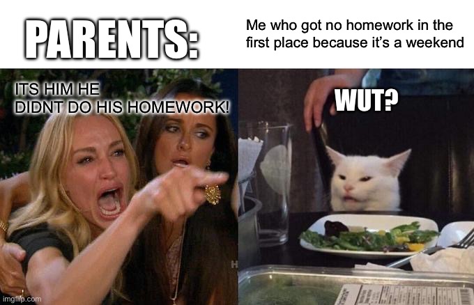Woman Yelling At Cat | PARENTS:; Me who got no homework in the first place because it’s a weekend; ITS HIM HE DIDNT DO HIS HOMEWORK! WUT? | image tagged in memes,woman yelling at cat | made w/ Imgflip meme maker