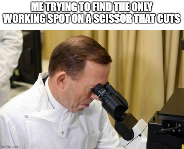 y this always happen. scissors never cut | ME TRYING TO FIND THE ONLY WORKING SPOT ON A SCISSOR THAT CUTS | image tagged in abbott microscope,memes,funny,relatable,scissors,food | made w/ Imgflip meme maker