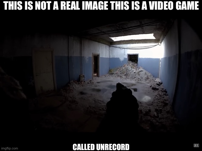 This is not even a real image | THIS IS NOT A REAL IMAGE THIS IS A VIDEO GAME; CALLED UNRECORD | image tagged in not,real life,image | made w/ Imgflip meme maker