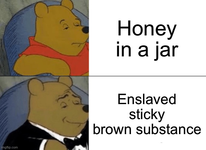 Tuxedo Winnie The Pooh Meme | Honey in a jar; Enslaved sticky brown substance | image tagged in memes,tuxedo winnie the pooh | made w/ Imgflip meme maker