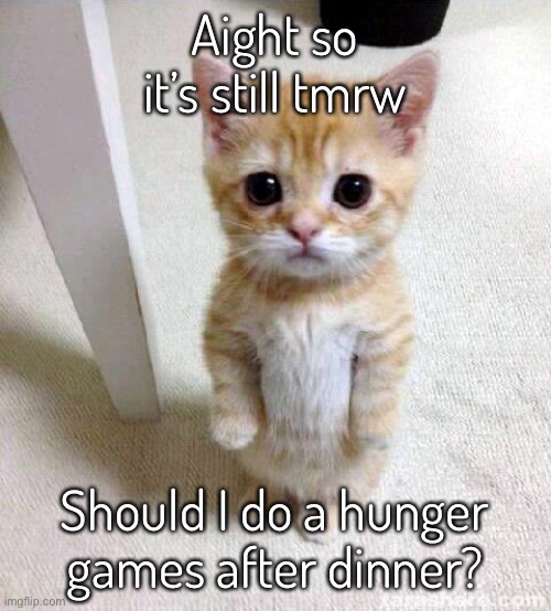 Cute Cat | Aight so it’s still tmrw; Should I do a hunger games after dinner? | image tagged in memes,cute cat | made w/ Imgflip meme maker