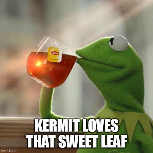 Kermit and the Sweet Leaf | KERMIT LOVES THAT SWEET LEAF | image tagged in memes,but that's none of my business,kermit the frog,black sabbath,sweet leaf,tea | made w/ Imgflip meme maker