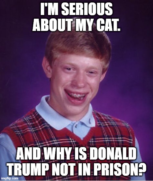 Bad Luck Brian Meme | I'M SERIOUS ABOUT MY CAT. AND WHY IS DONALD TRUMP NOT IN PRISON? | image tagged in memes,bad luck brian | made w/ Imgflip meme maker