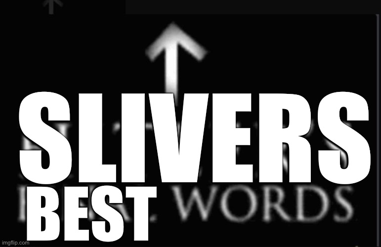 hitlers final words | BEST SLIVERS | image tagged in hitlers final words | made w/ Imgflip meme maker