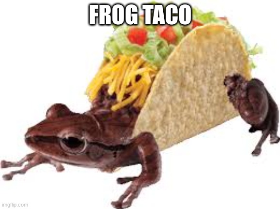 frog taco | FROG TACO | image tagged in frog,taco | made w/ Imgflip meme maker