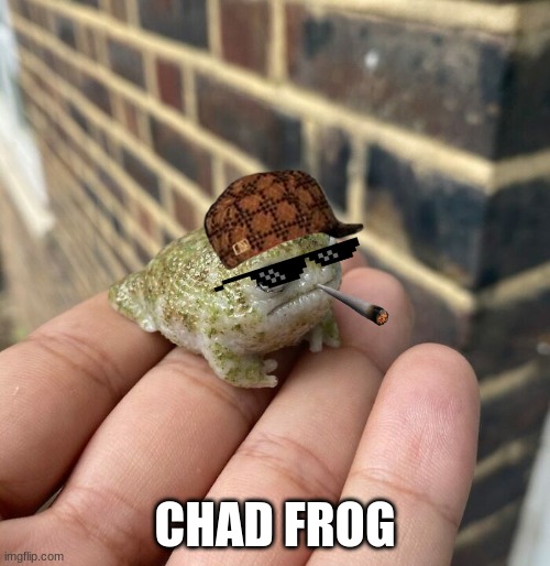 stop scrolling right this second | CHAD FROG | image tagged in frog,chad,gangsta,upvote | made w/ Imgflip meme maker