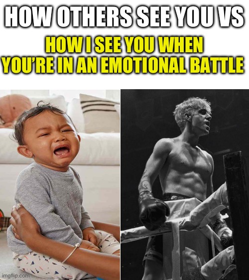 Keep fighting king, victory is near | HOW OTHERS SEE YOU VS; HOW I SEE YOU WHEN YOU’RE IN AN EMOTIONAL BATTLE | image tagged in blank white template,wholesome | made w/ Imgflip meme maker