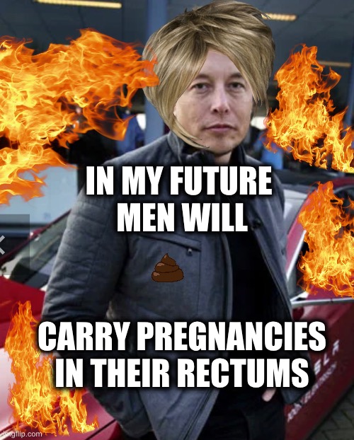 IN MY FUTURE 
MEN WILL; CARRY PREGNANCIES IN THEIR RECTUMS | image tagged in memes,elong musk,tesla,usa,macho man,limp dick | made w/ Imgflip meme maker