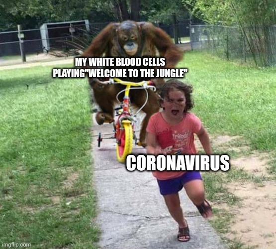 I've never had covid | MY WHITE BLOOD CELLS PLAYING"WELCOME TO THE JUNGLE"; CORONAVIRUS | image tagged in run,coronavirus,welcome to the jungle | made w/ Imgflip meme maker