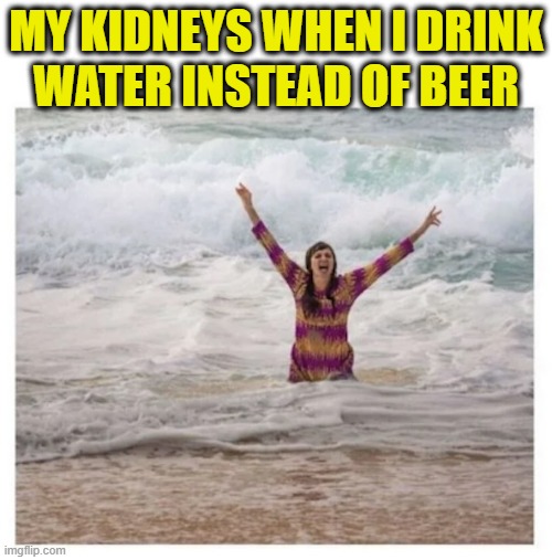 Exactly what is the flavorless wet stuff? | MY KIDNEYS WHEN I DRINK
WATER INSTEAD OF BEER | image tagged in beer,beers,cold beer here,craft beer,beer goggles,the most interesting man in the world | made w/ Imgflip meme maker