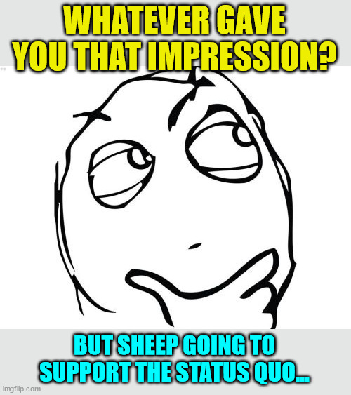 Question Rage Face Meme | WHATEVER GAVE YOU THAT IMPRESSION? BUT SHEEP GOING TO SUPPORT THE STATUS QUO... | image tagged in memes,question rage face | made w/ Imgflip meme maker