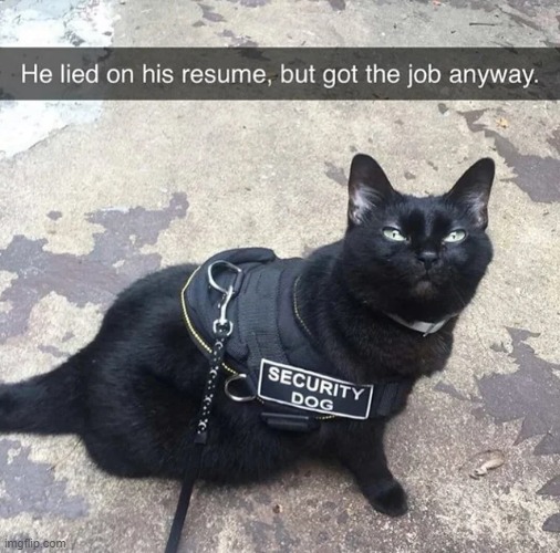 image tagged in wholesome | made w/ Imgflip meme maker