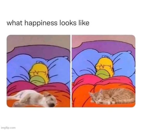 image tagged in wholesome | made w/ Imgflip meme maker
