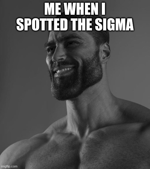 Sigma Male | ME WHEN I SPOTTED THE SIGMA | image tagged in sigma male | made w/ Imgflip meme maker