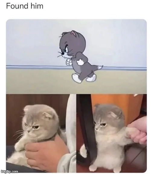 image tagged in wholesome | made w/ Imgflip meme maker