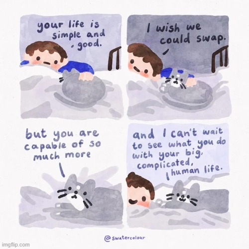 image tagged in wholesome,comics/cartoons | made w/ Imgflip meme maker