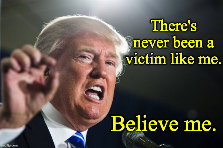 donald trump | There's never been a victim like me. Believe me. | image tagged in donald trump | made w/ Imgflip meme maker
