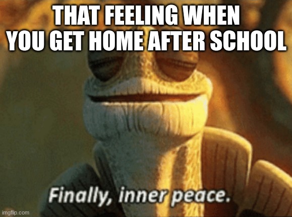 This is the best feeling | THAT FEELING WHEN YOU GET HOME AFTER SCHOOL | image tagged in finally inner peace | made w/ Imgflip meme maker