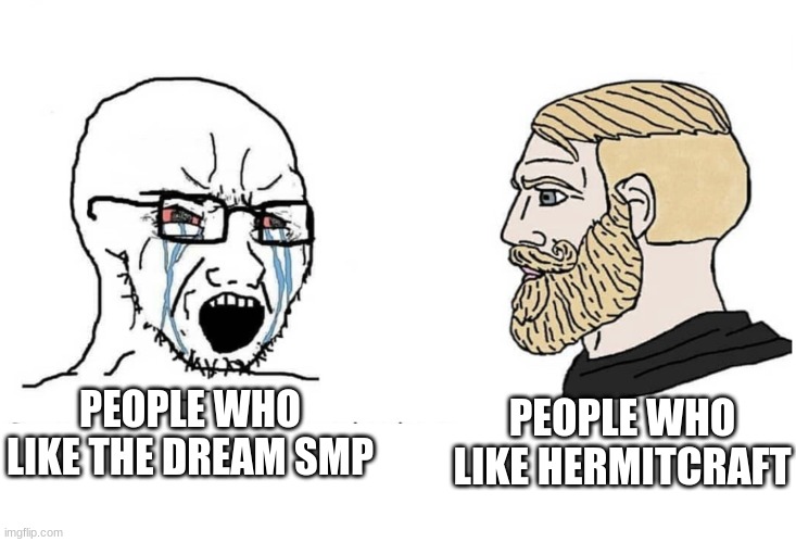hermitcraft is superior than the stan smp | PEOPLE WHO LIKE THE DREAM SMP; PEOPLE WHO LIKE HERMITCRAFT | image tagged in soyboy vs yes chad,minecraft,hermitcraft,memes,gaming,funny | made w/ Imgflip meme maker