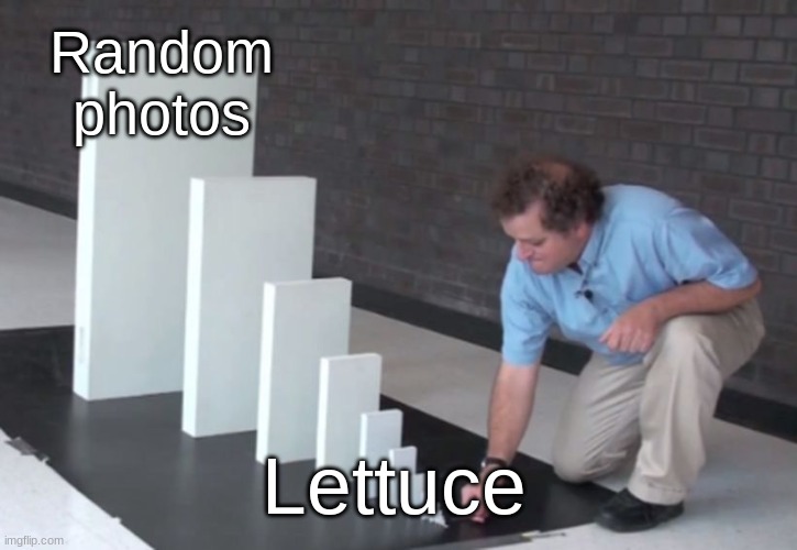. . .It all began with Lettuce | Random photos; Lettuce | image tagged in domino effect | made w/ Imgflip meme maker