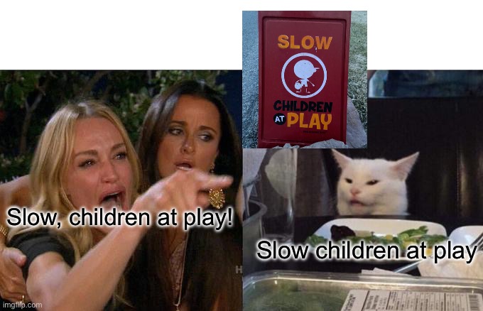 Woman Yelling At Cat | Slow, children at play! Slow children at play | image tagged in memes,woman yelling at cat | made w/ Imgflip meme maker