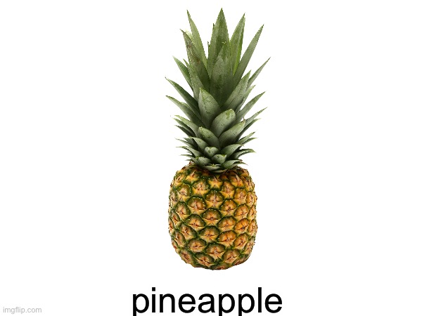 Pineapple for Front Page :D | pineapple | image tagged in social,experiment,pineapple | made w/ Imgflip meme maker