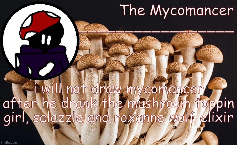 nngtj | i will not draw mycomancer after he drank the mushroom toppin girl, salazzle and roxanne wolf elixir | made w/ Imgflip meme maker