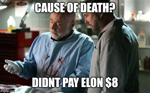 cause of death | CAUSE OF DEATH? DIDNT PAY ELON $8 | image tagged in cause of death | made w/ Imgflip meme maker