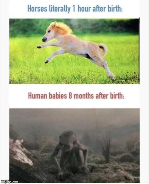image tagged in memes | made w/ Imgflip meme maker