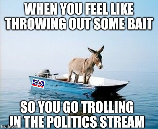 DONKEY ON A BOAT | WHEN YOU FEEL LIKE THROWING OUT SOME BAIT; SO YOU GO TROLLING IN THE POLITICS STREAM | image tagged in donkey on a boat,politics,democrats,votes,trollbait,election 2024 | made w/ Imgflip meme maker