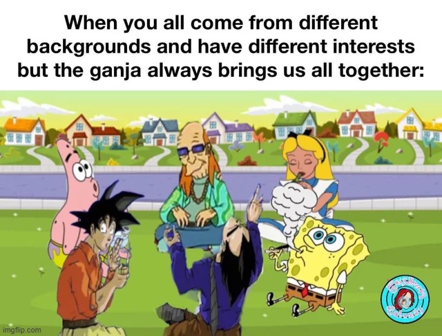 image tagged in memes | made w/ Imgflip meme maker