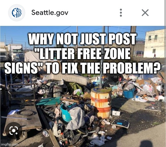 Litter Free Zone | WHY NOT JUST POST "LITTER FREE ZONE SIGNS" TO FIX THE PROBLEM? | image tagged in seattle,liberal logic,funny,funny memes | made w/ Imgflip meme maker