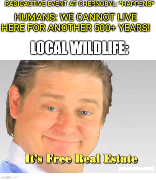 Fr | RADIOACTIVE EVENT AT CHERNOBYL: *HAPPENS*; HUMANS: WE CANNOT LIVE HERE FOR ANOTHER 500+ YEARS! LOCAL WILDLIFE: | image tagged in it's free real estate | made w/ Imgflip meme maker