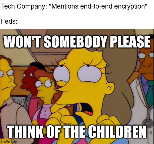 Department of Pearl Clutching | Tech Company: *Mentions end-to-end encryption*
 
Feds:; WON'T SOMEBODY PLEASE; THINK OF THE CHILDREN | image tagged in helen lovejoy - children | made w/ Imgflip meme maker