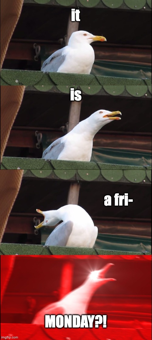Inhaling Seagull Meme | it; is; a fri-; MONDAY?! | image tagged in memes,inhaling seagull | made w/ Imgflip meme maker