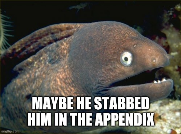 Bad Joke Eel Meme | MAYBE HE STABBED HIM IN THE APPENDIX | image tagged in memes,bad joke eel | made w/ Imgflip meme maker
