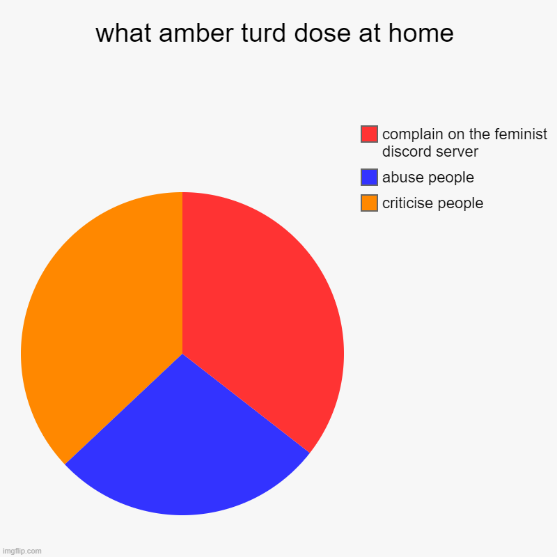 what amber turd dose at home | criticise people, abuse people, complain on the feminist discord server | image tagged in charts,pie charts | made w/ Imgflip chart maker