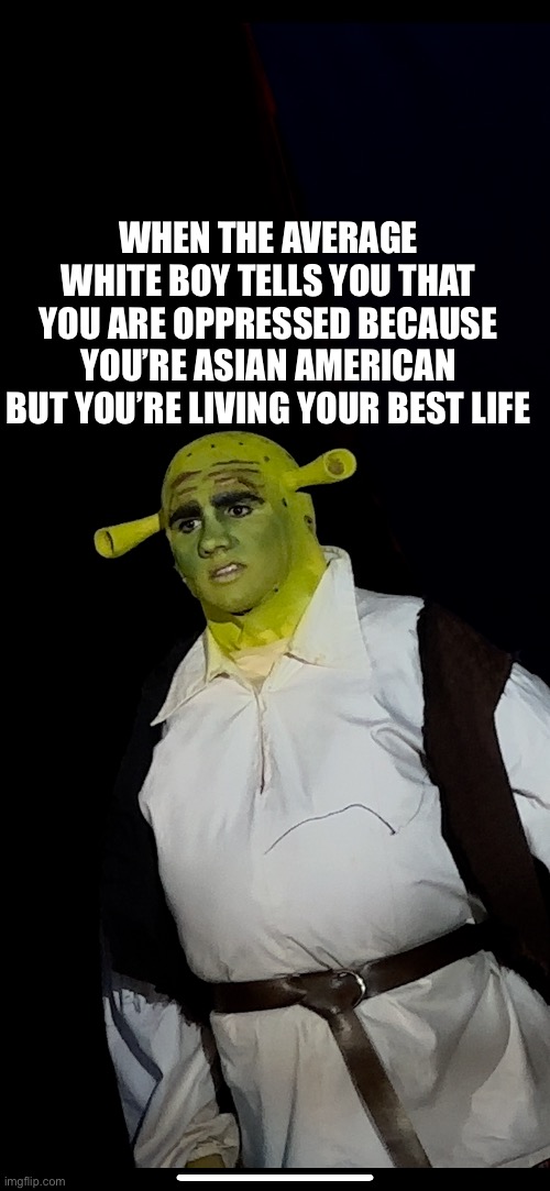 Shrek confused | WHEN THE AVERAGE WHITE BOY TELLS YOU THAT YOU ARE OPPRESSED BECAUSE YOU’RE ASIAN AMERICAN BUT YOU’RE LIVING YOUR BEST LIFE | image tagged in shrek meme,shrek,racism,no racism | made w/ Imgflip meme maker