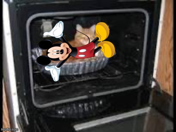 Cat in oven | image tagged in cat in oven | made w/ Imgflip meme maker