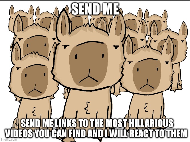 Capybara group | SEND ME; SEND ME LINKS TO THE MOST HILLARIOUS VIDEOS YOU CAN FIND AND I WILL REACT TO THEM | image tagged in capybara group | made w/ Imgflip meme maker