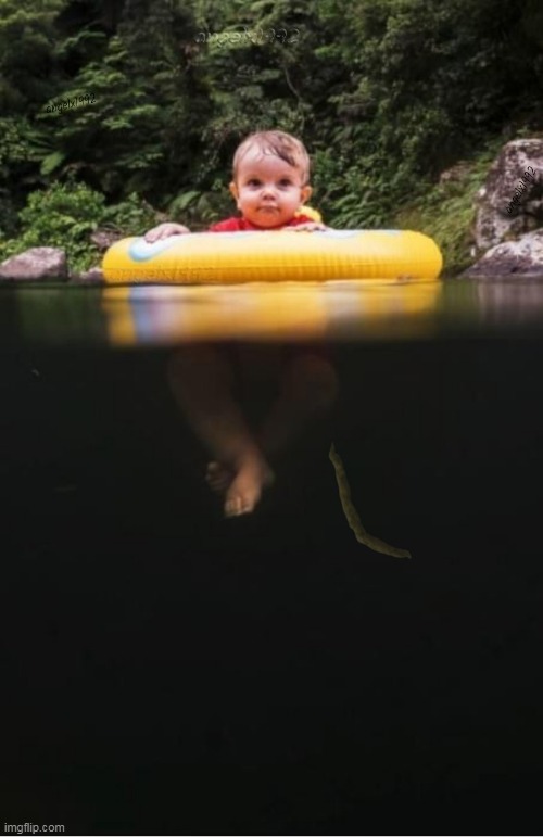 maybe now people can see what's in the pic | image tagged in baby,swimming,lake,summer,river,swim | made w/ Imgflip meme maker