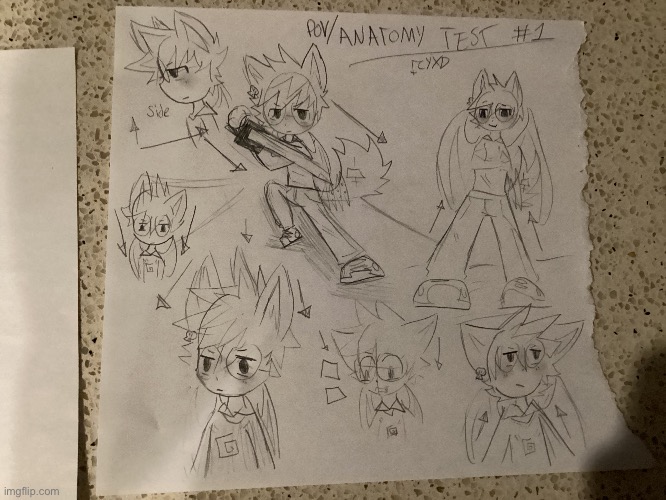I tried drawing angles and anatomies better. How is it? This is my first time btw | made w/ Imgflip meme maker