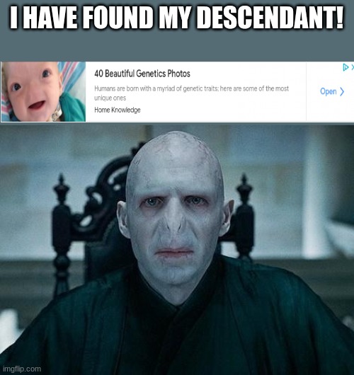 Lord Voldemort | I HAVE FOUND MY DESCENDANT! | image tagged in lord voldemort | made w/ Imgflip meme maker