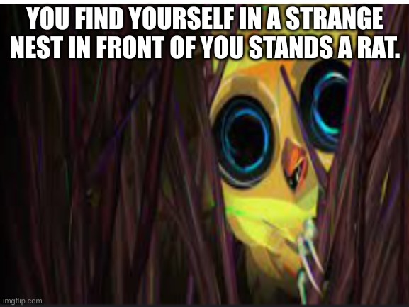 Ring of pain RP | YOU FIND YOURSELF IN A STRANGE NEST IN FRONT OF YOU STANDS A RAT. | made w/ Imgflip meme maker