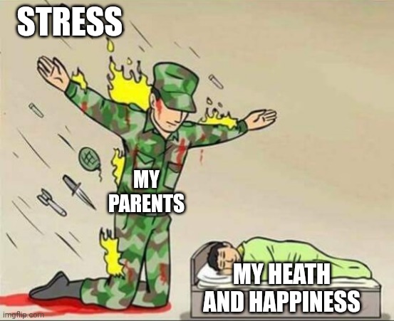 :D | STRESS; MY PARENTS; MY HEATH AND HAPPINESS | image tagged in soldier protecting sleeping child | made w/ Imgflip meme maker