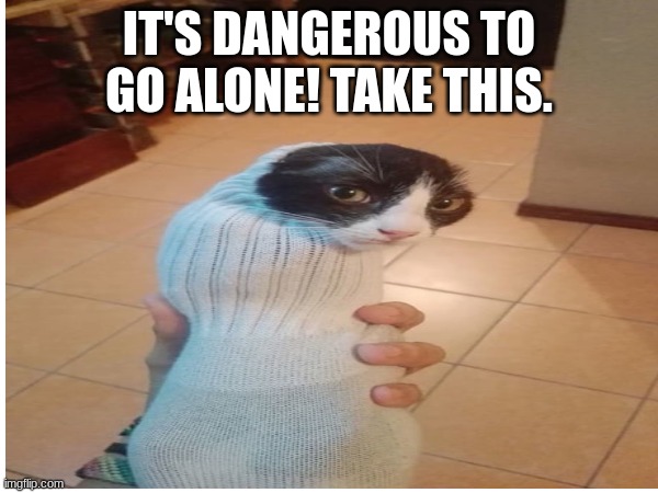 Sock cat! | IT'S DANGEROUS TO GO ALONE! TAKE THIS. | image tagged in cat,sock,wait a second this is wholesome content,yayaya,the legend of zelda | made w/ Imgflip meme maker