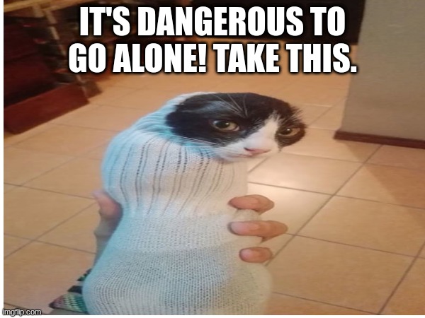 Sock cat!! (IMAGE NOT MINE) | IT'S DANGEROUS TO GO ALONE! TAKE THIS. | image tagged in cat,sock,wait a second this is wholesome content,yayaya,the legend of zelda | made w/ Imgflip meme maker